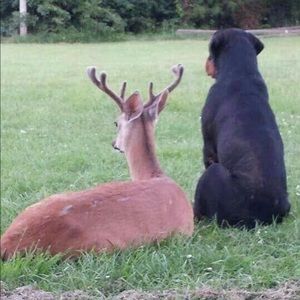 Meet your Posher, Kristy